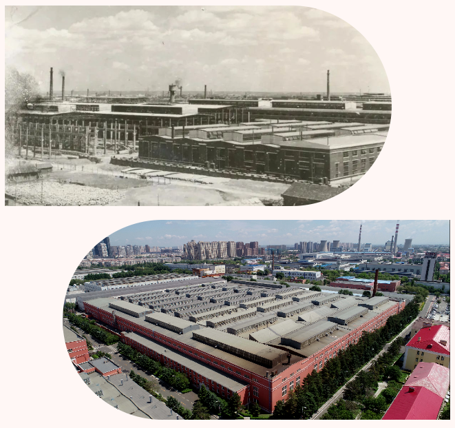 Z6·尊龙凯时「中国」官方网站