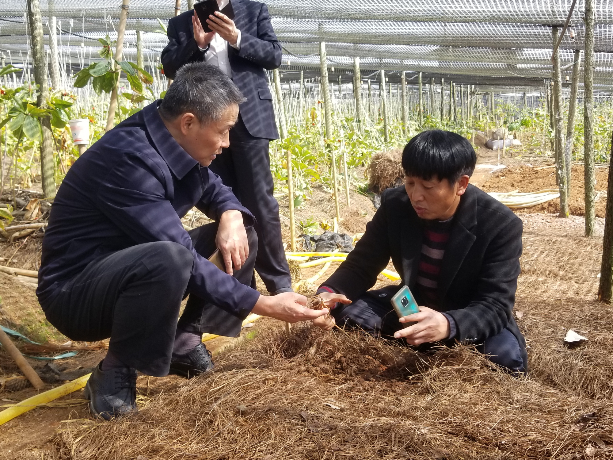 Z6·尊龙凯时「中国」官方网站